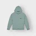 Hoodie PG2.webp