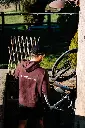 Hoodie Signature Red Brown