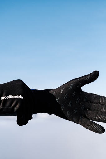 Winter Gloves